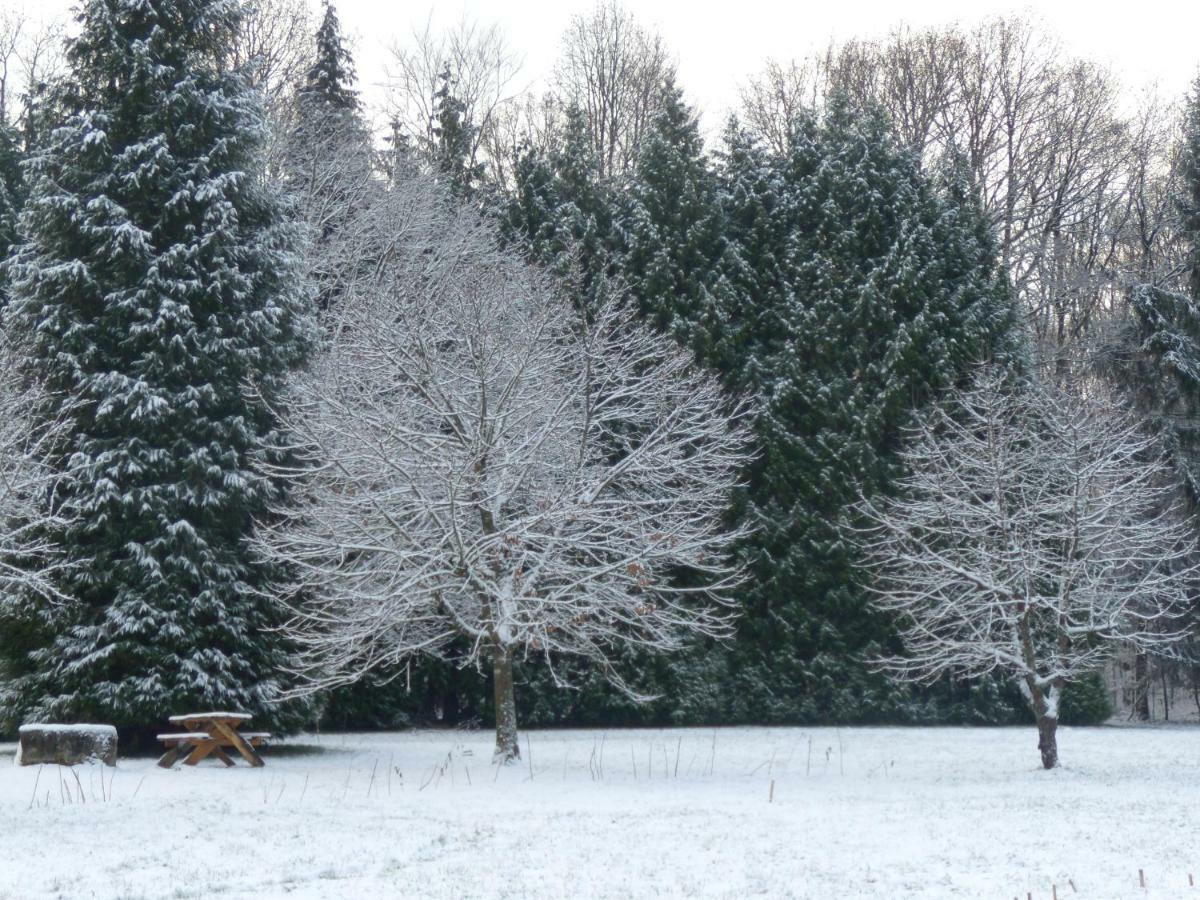 La Clairière du Verbamont Claudon Esterno foto